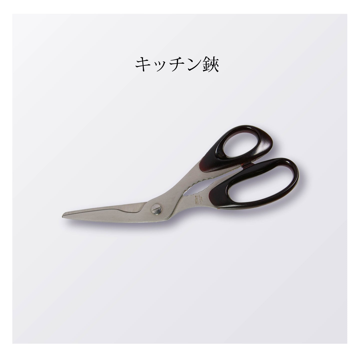 キッチン鋏(5本以上まとめ買い)【会員専用】