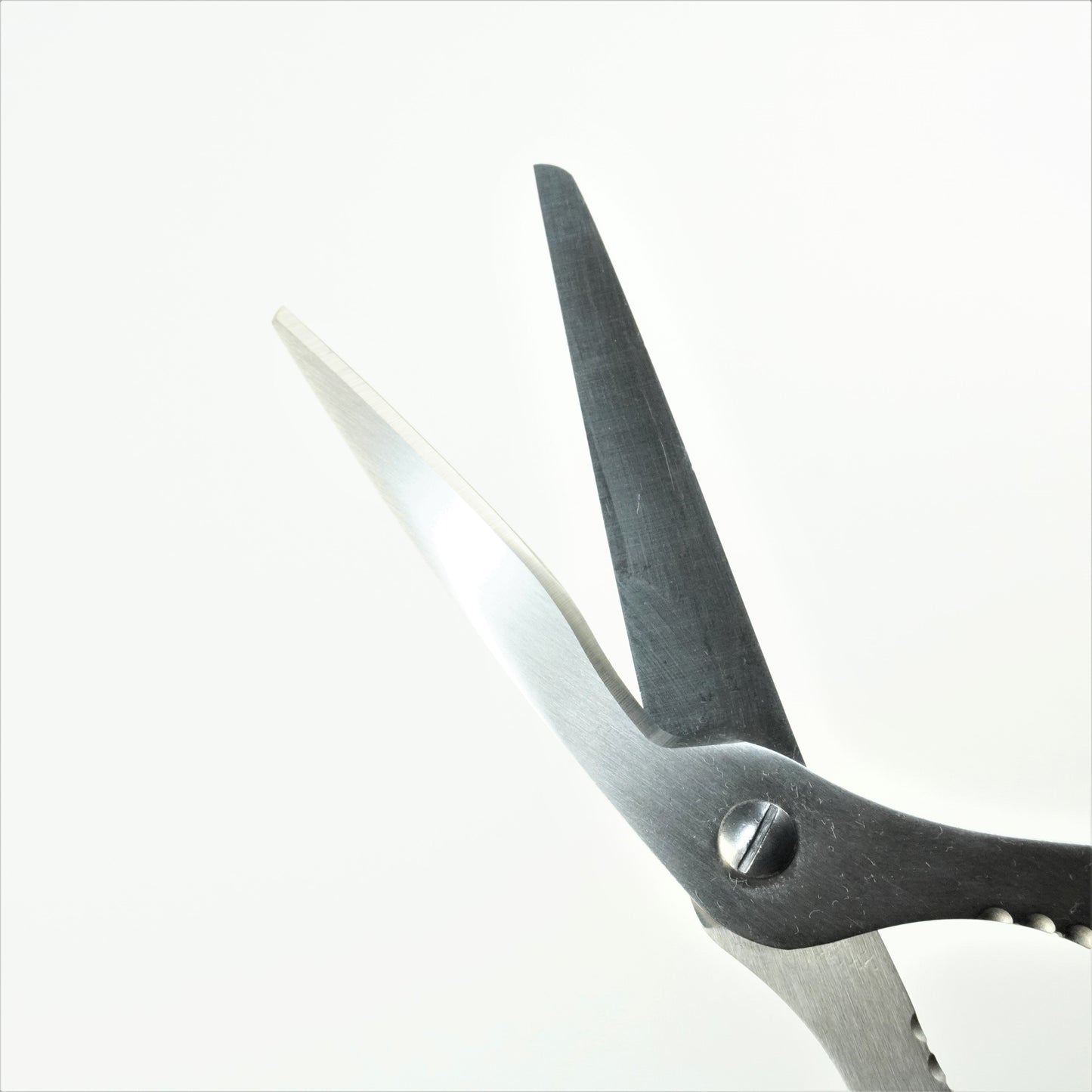 キッチン鋏(10本以上まとめ買い)【会員専用】