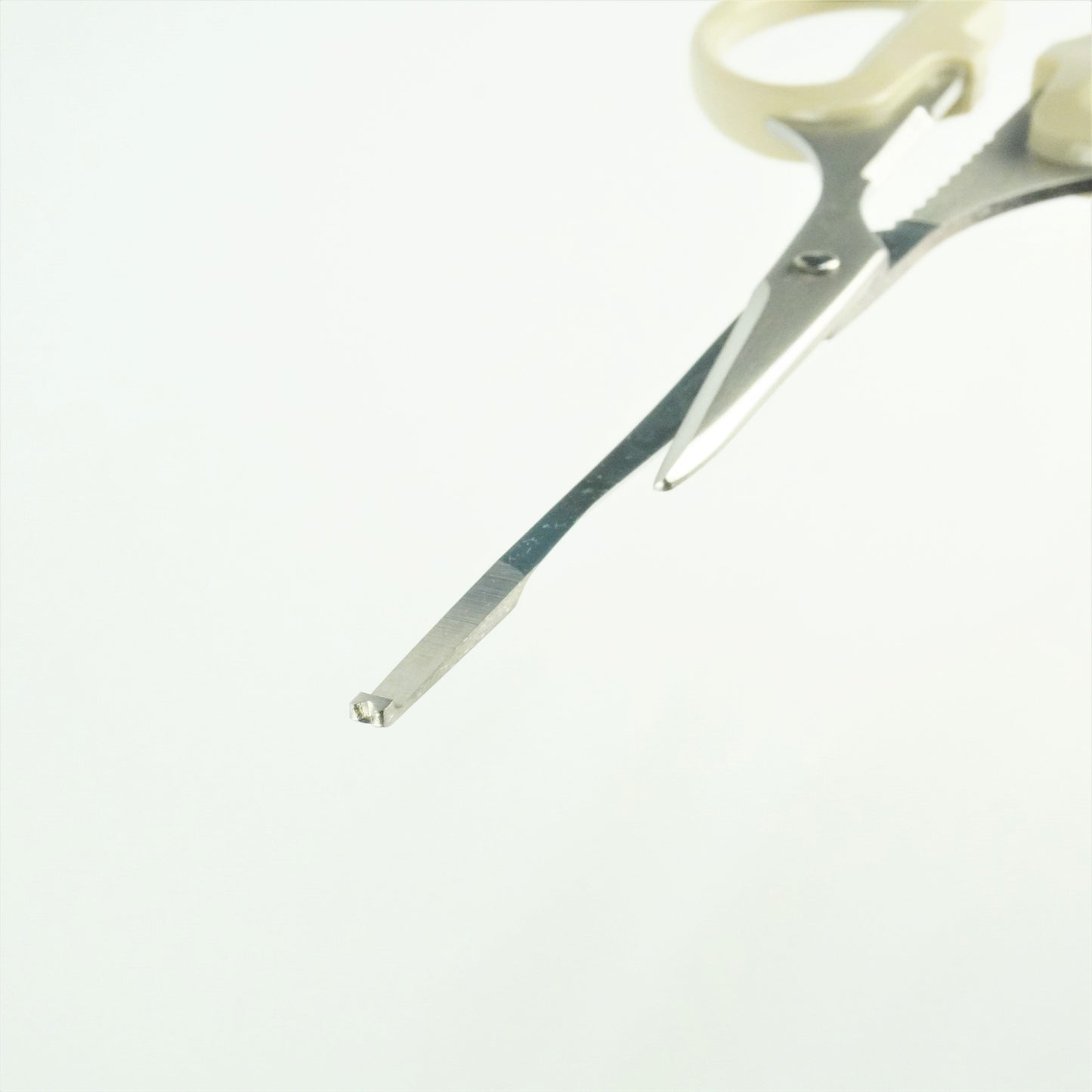 かに鋏(5本以上まとめ買い)【会員専用】