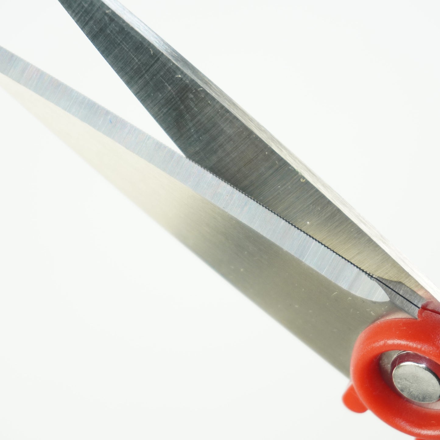 キッチン鋏(10本以上まとめ買い)【会員専用】