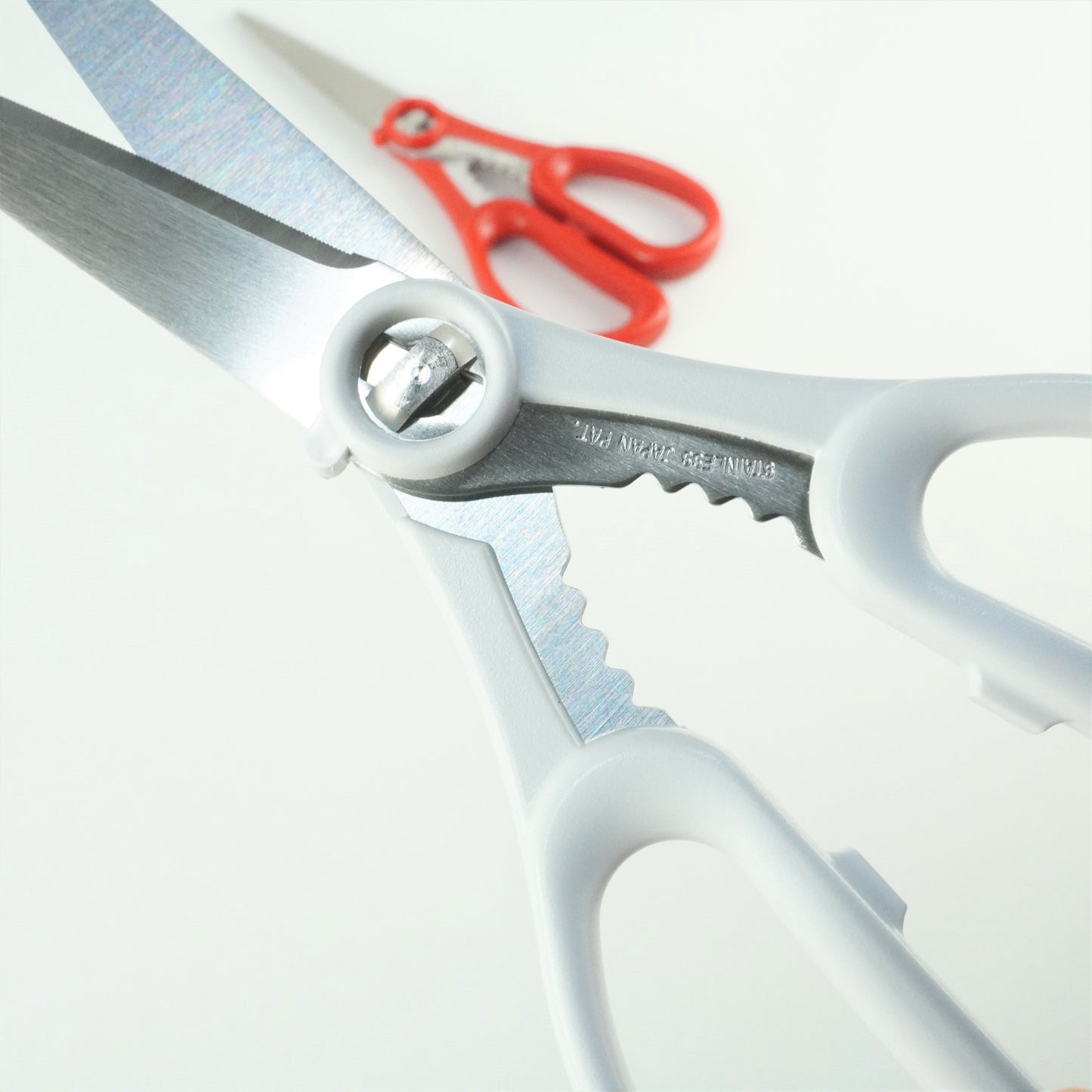 キッチン鋏 取り外し(10本以上まとめ買い)【会員専用】